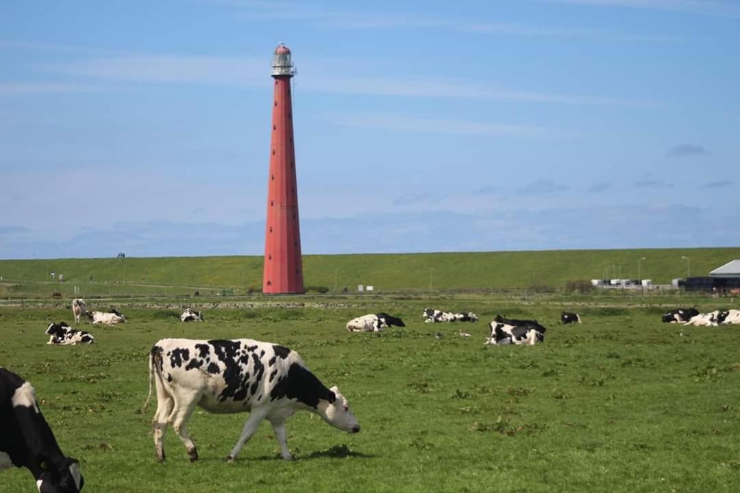 Overnachten Onder De Lange Jaap Den Helder Esterno foto